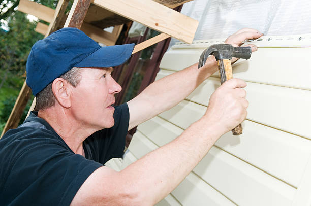 Best Custom Siding Design  in Citrus Hills, FL