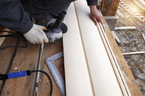 Best Vinyl Siding Installation  in Citrus Hills, FL